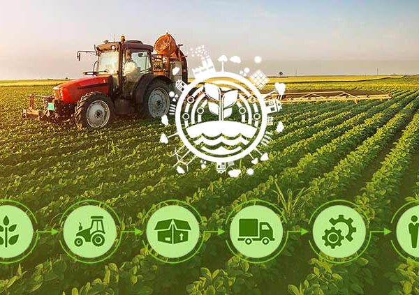 Agri Advisory API – AI-Driven Crop Intelligence & Farmer Advisory