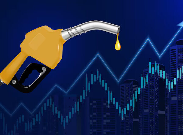Fuel Price API – Daily Petrol & Diesel Prices by City & State