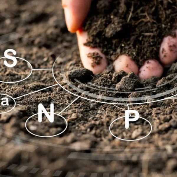 AI-Driven Soil Quality API for Smarter Crop & Soil Management